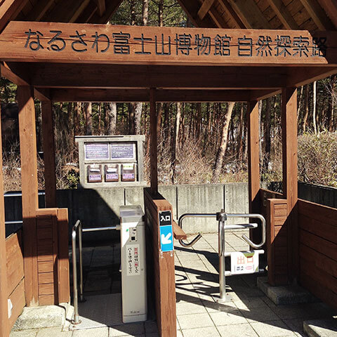 今年も鳴沢つつじ祭りがゴールデンウィークに開催されます。