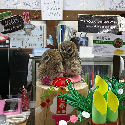 富士花鳥園のアクセス