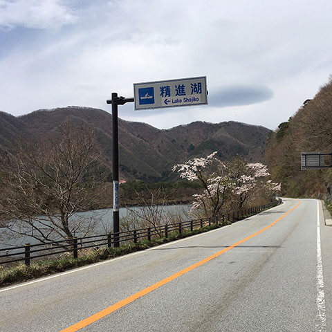 精進湖民宿村からことぶきまでの行き方 アクセスは?