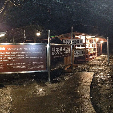 そのまんま穴場ですが、穴場ではなく超人気の富士五湖観光スポットです。