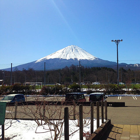 今年も鳴沢つつじ祭りがゴールデンウィークに開催されます。