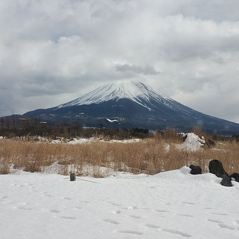 富士花鳥園のアクセス