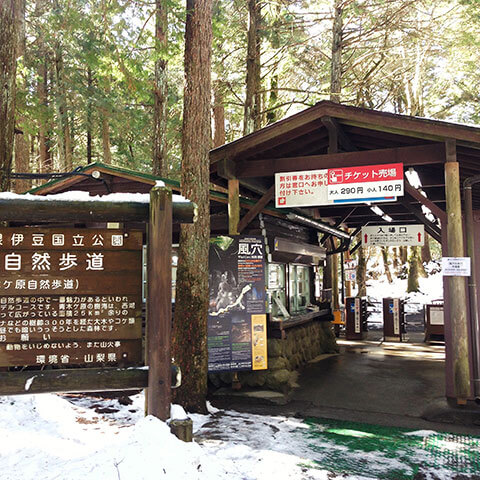 そのまんま穴場ですが、穴場ではなく超人気の富士五湖観光スポットです。
