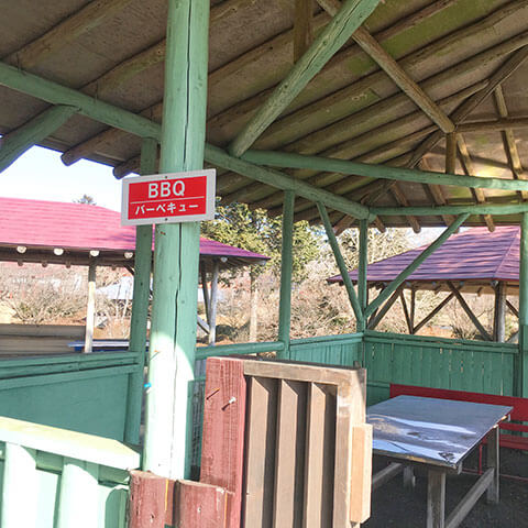 遊園地入場料
