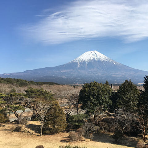 遊園地入場料