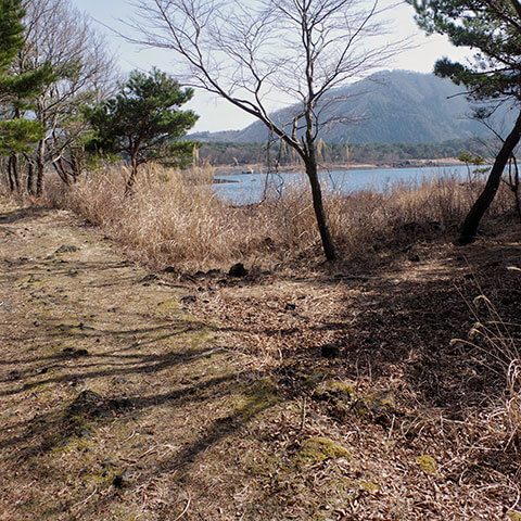 アクセス