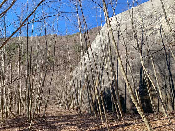 西湖の富士山撮影ポイントへ　道順