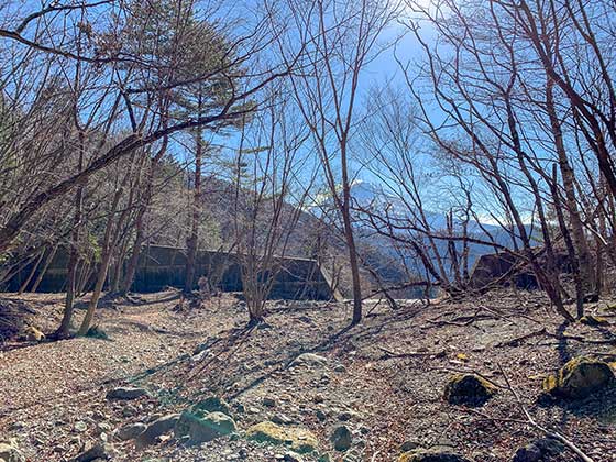 山椒魚もいる綺麗な裏山