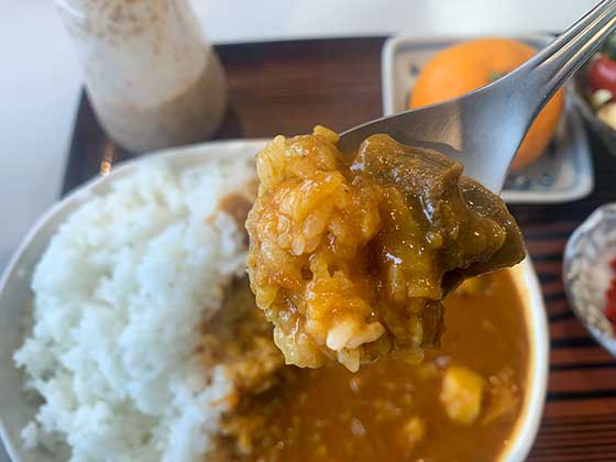 鹿カレー